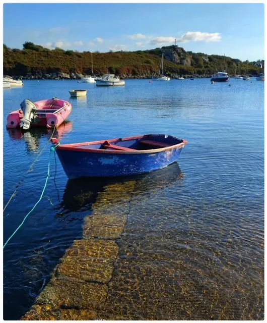 Jolie Maisonnette Proche Plage Et Activites Nautiques Ploudalmezeau Holiday home
